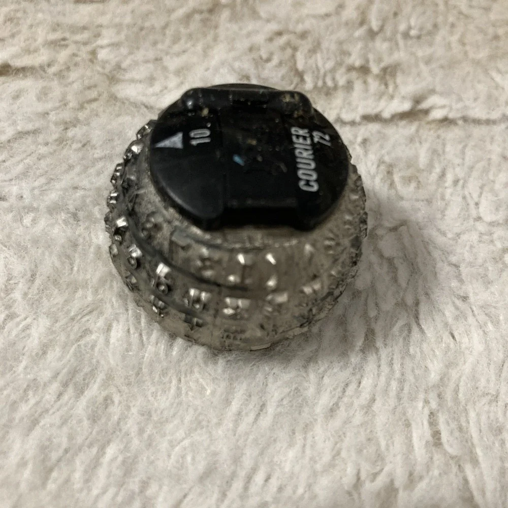 In Case IBM Selectric 